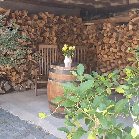 Gaestehaus Ringhof Florsheim-Dalsheim Kültér fotó